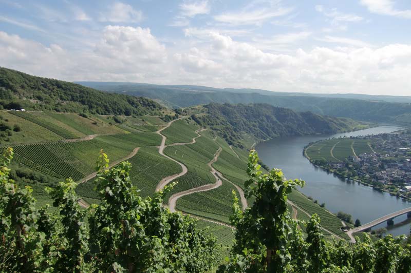 Ürzig