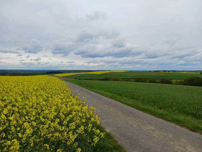 Hunsrück